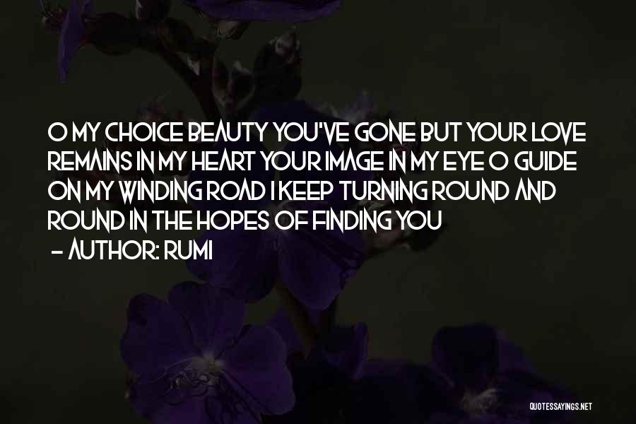 I Love My Choice Quotes By Rumi