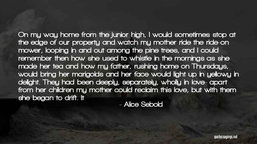 I Love My Father And Mother Quotes By Alice Sebold