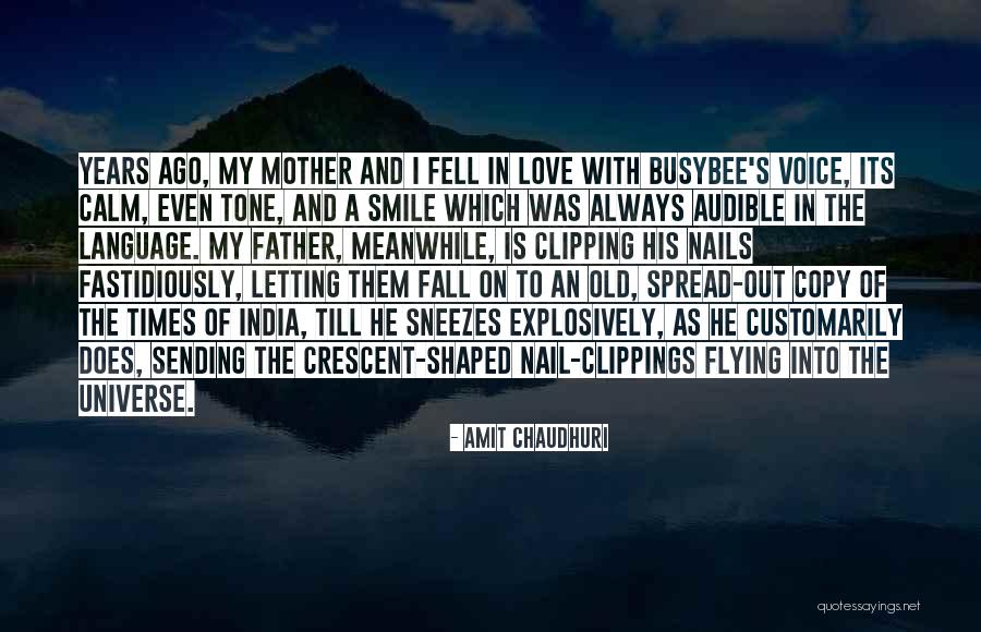 I Love My Father And Mother Quotes By Amit Chaudhuri