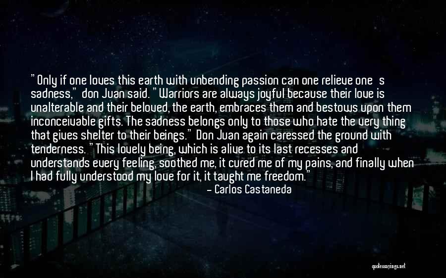 I Love My Freedom Quotes By Carlos Castaneda