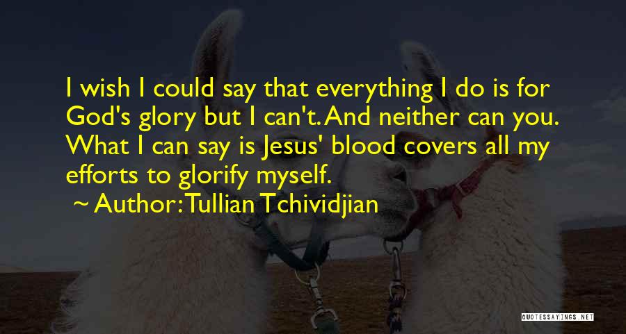 I Love My Jesus Quotes By Tullian Tchividjian