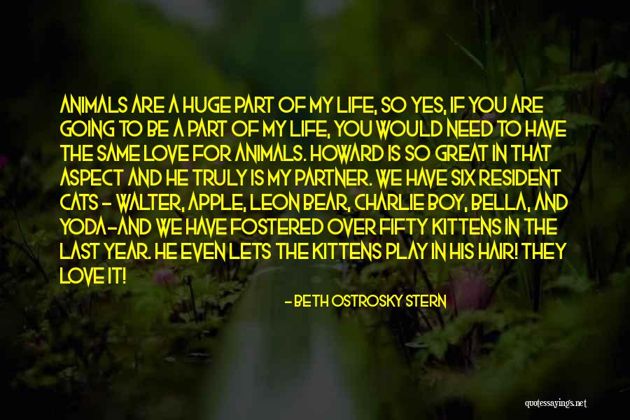 I Love My Life Partner Quotes By Beth Ostrosky Stern I Love My Life Partner Quotes By Beth Ostrosky Stern