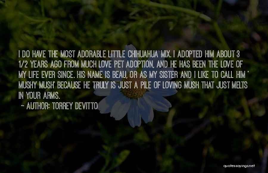 I Love My Little Sister Quotes By Torrey DeVitto