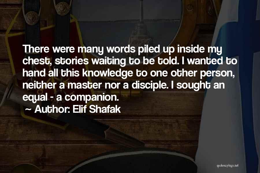 I Love My Master Quotes By Elif Shafak