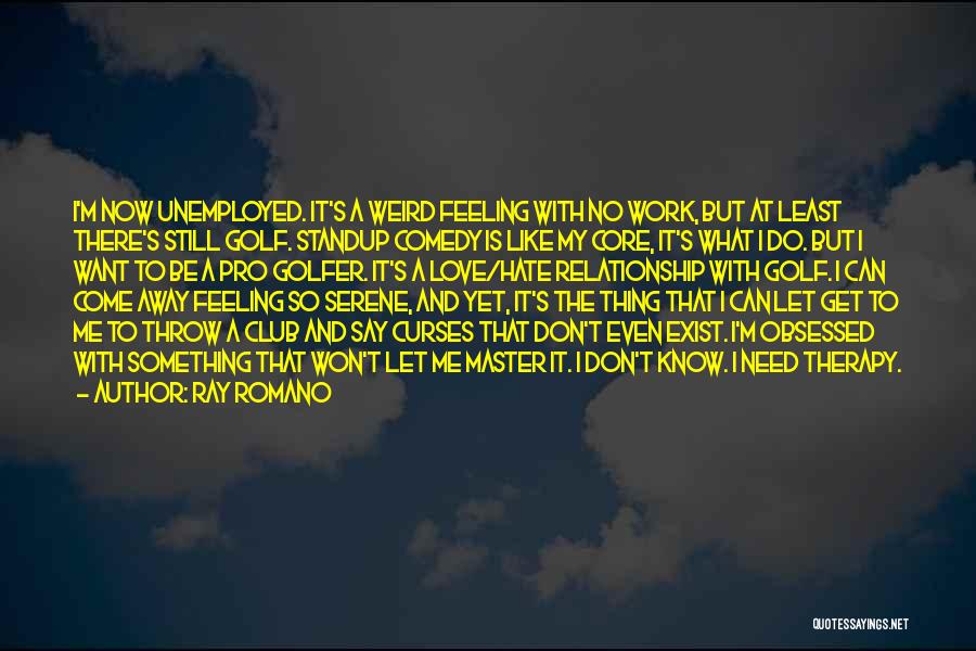 I Love My Master Quotes By Ray Romano