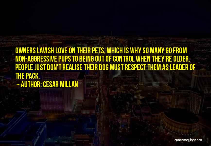 I Love My Pet Dog Quotes By Cesar Millan