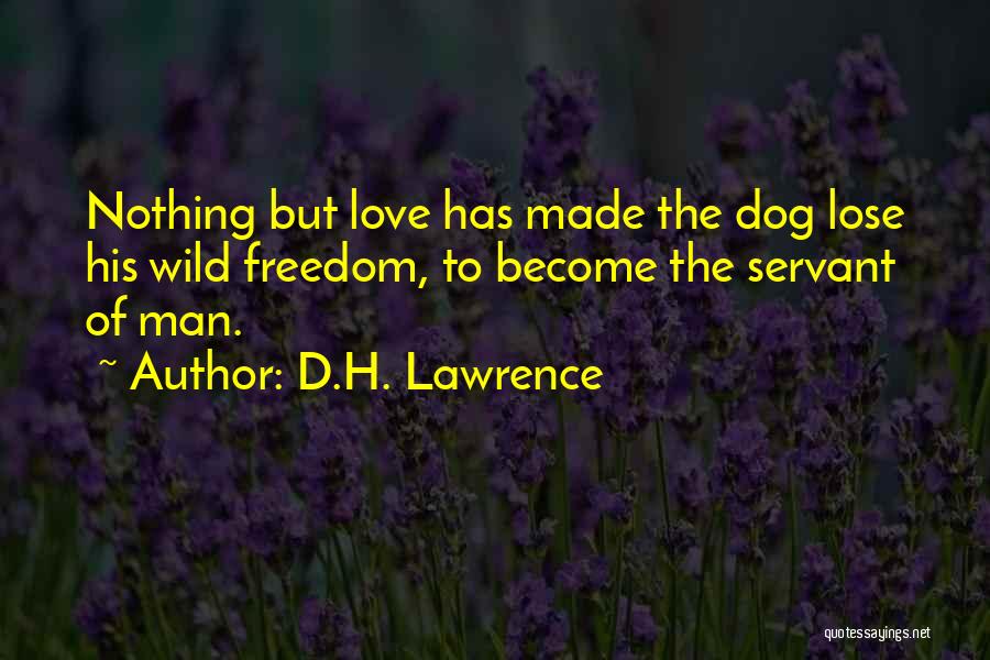 I Love My Pet Dog Quotes By D.H. Lawrence