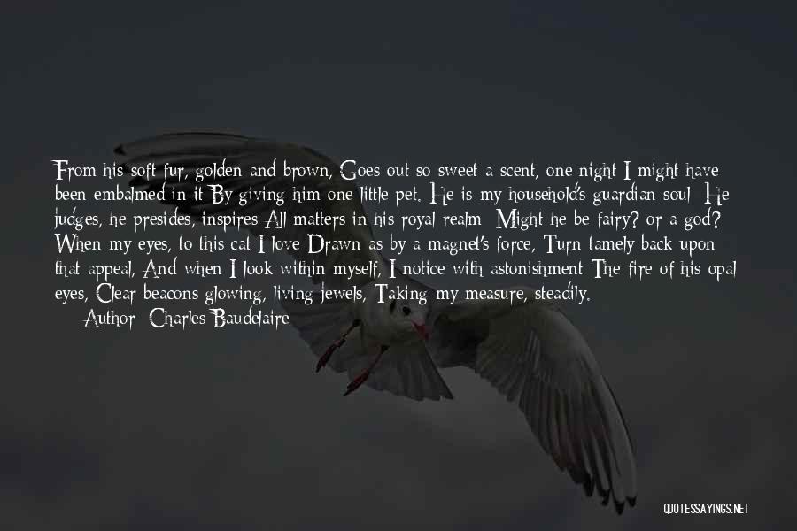 I Love My Quotes By Charles Baudelaire
