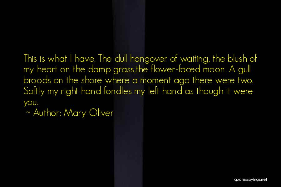 I Love My Quotes By Mary Oliver