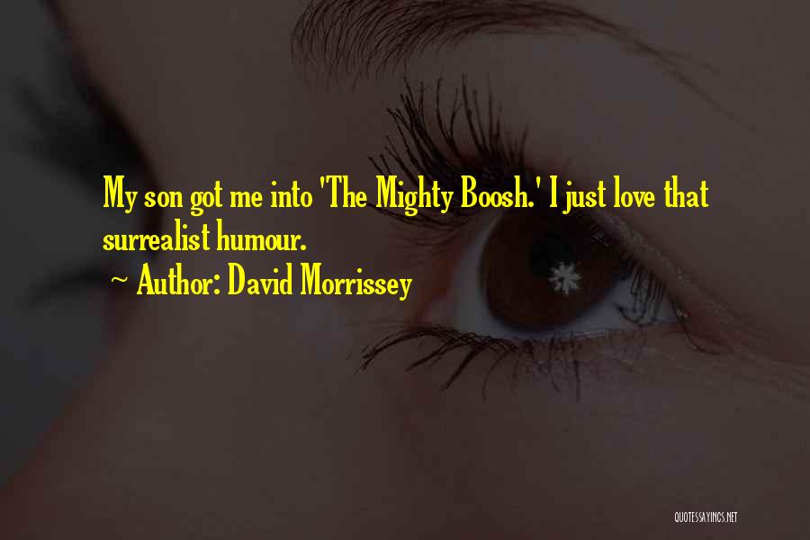 I Love My Son Quotes By David Morrissey