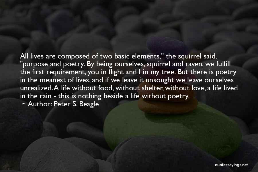 I Love Rain Quotes By Peter S. Beagle