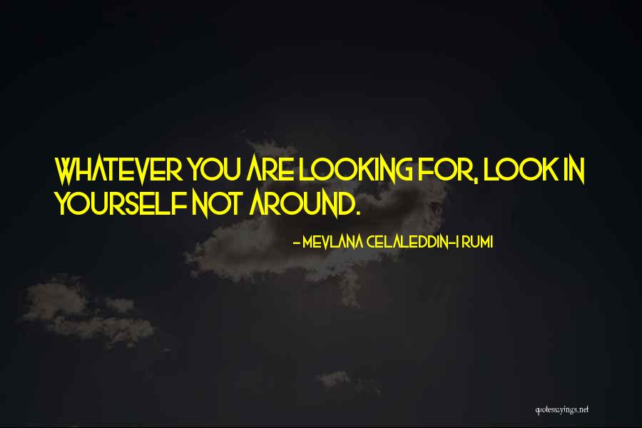 I Love Rumi Quotes By Mevlana Celaleddin-i Rumi I Love Rumi Quotes By Mevlana Celaleddin-i Rumi