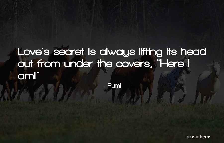 I Love Rumi Quotes By Rumi