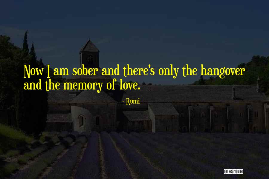 I Love Rumi Quotes By Rumi