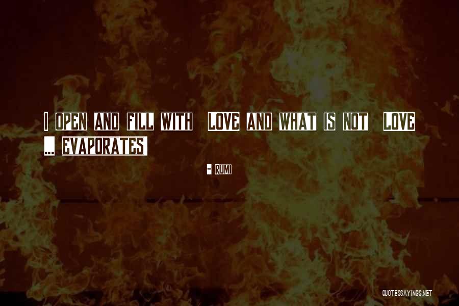 I Love Rumi Quotes By Rumi I Love Rumi Quotes By Rumi