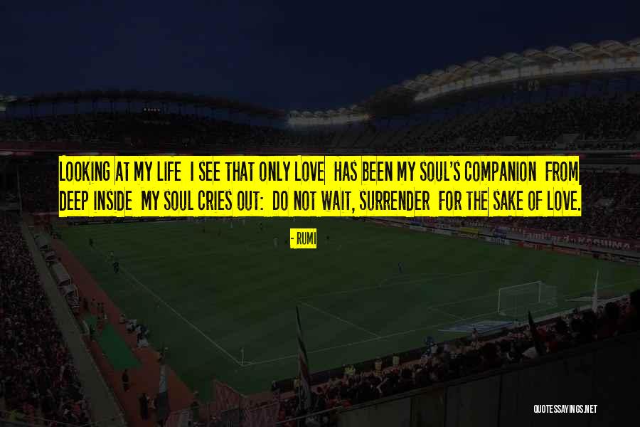I Love Rumi Quotes By Rumi I Love Rumi Quotes By Rumi