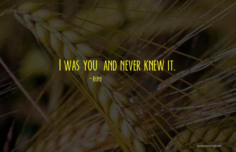 I Love Rumi Quotes By Rumi