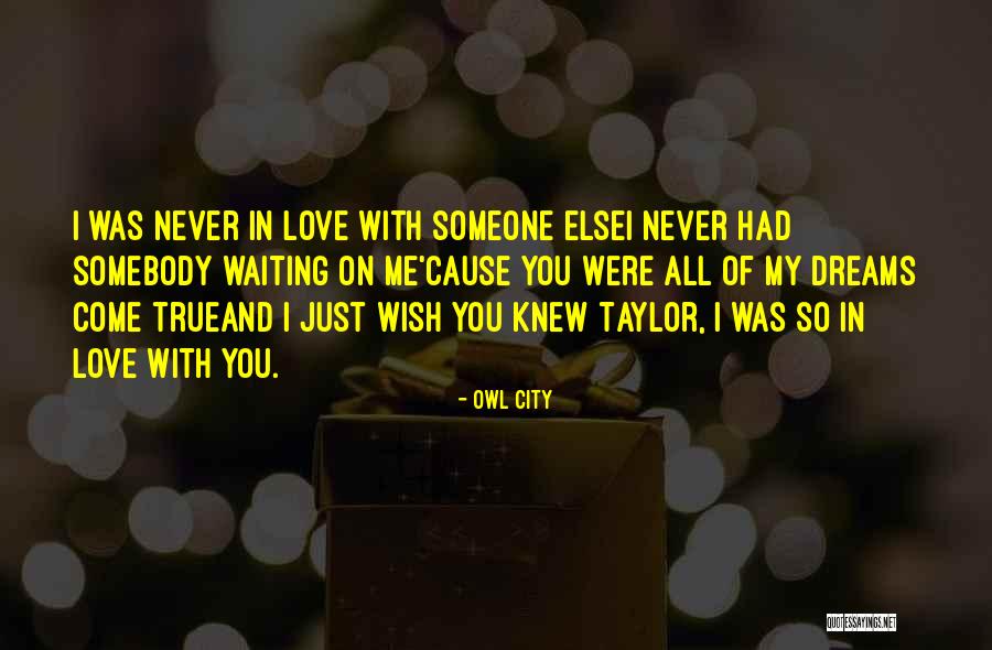 I Love Someone Else Quotes By Owl City