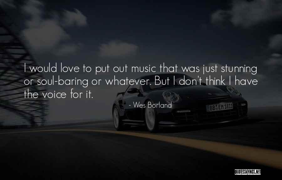 I Love Soul Music Quotes By Wes Borland