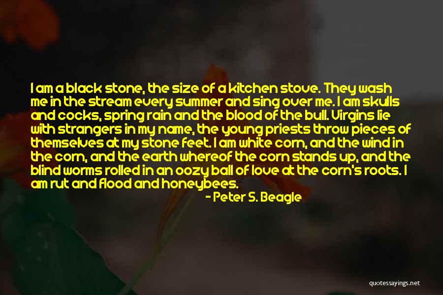 I Love Spring Quotes By Peter S. Beagle I Love Spring Quotes By Peter S. Beagle
