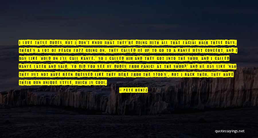 I Love Them Quotes By Pete Wentz I Love Them Quotes By Pete Wentz