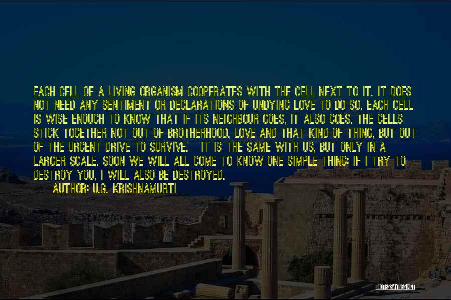 I Love U Quotes By U.G. Krishnamurti