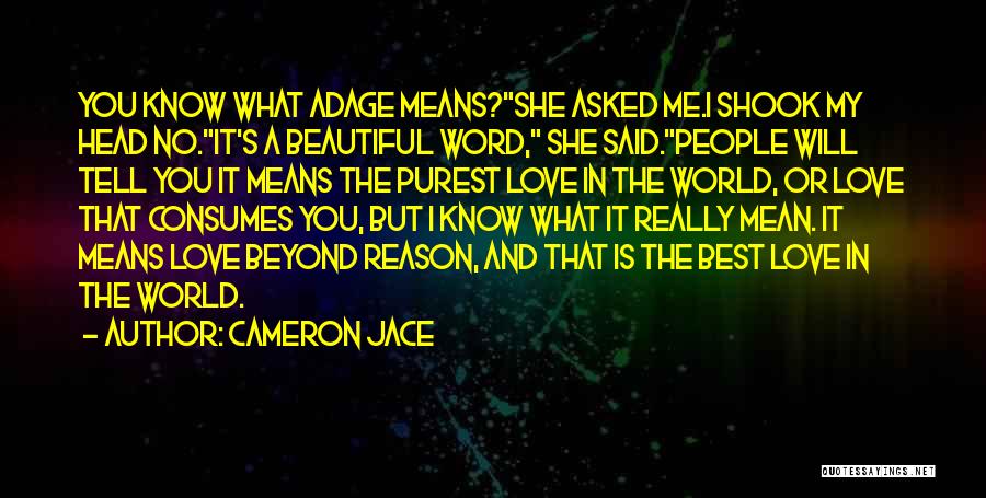 I Love You And I Really Mean It Quotes By Cameron Jace