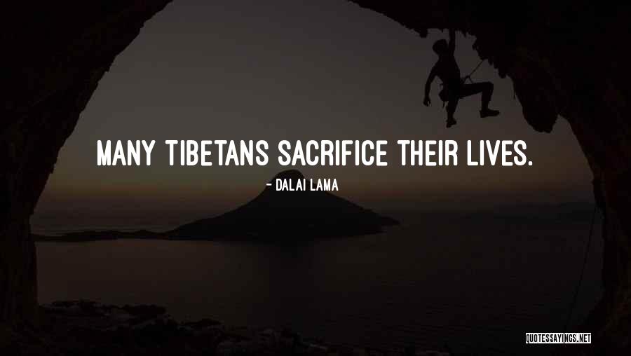 I Love You Beyond Comprehension Quotes By Dalai Lama