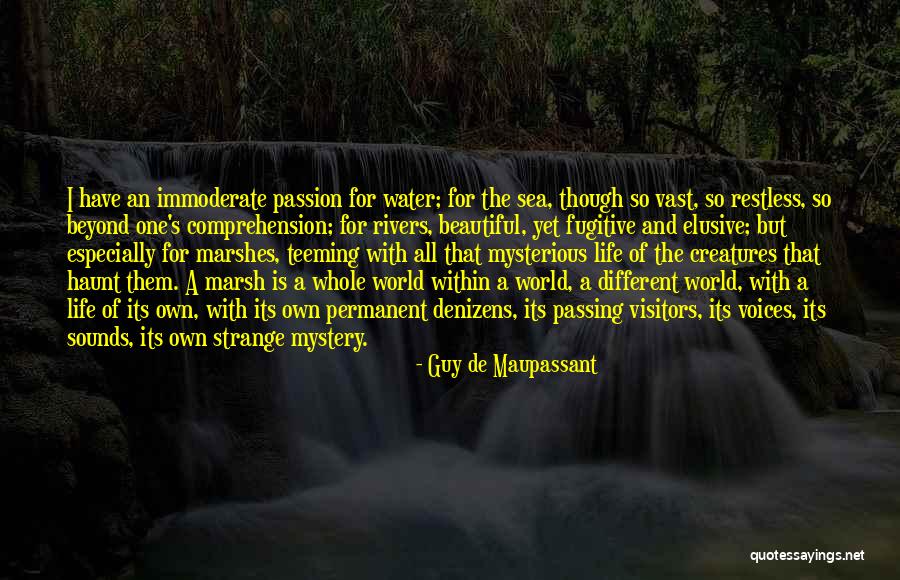 I Love You Beyond Comprehension Quotes By Guy De Maupassant I Love You Beyond Comprehension Quotes By Guy De Maupassant