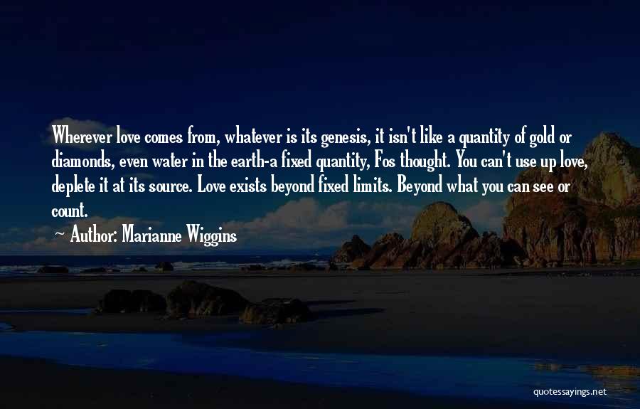 I Love You Beyond Limits Quotes By Marianne Wiggins