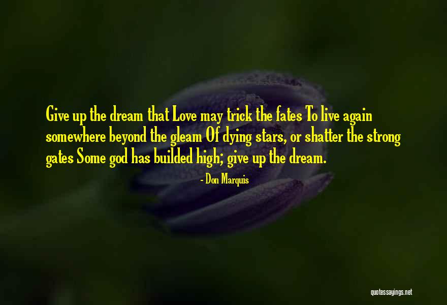 I Love You Beyond The Stars Quotes By Don Marquis I Love You Beyond The Stars Quotes By Don Marquis
