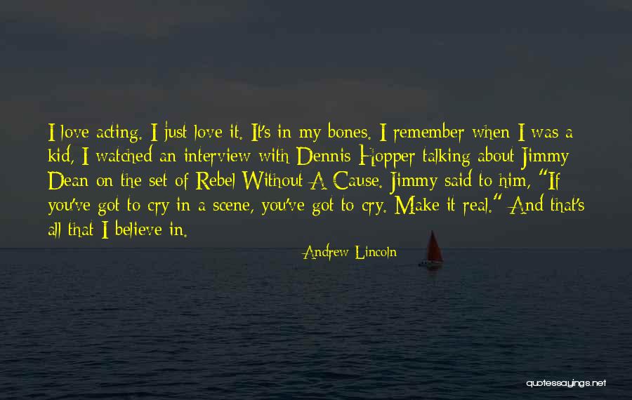I Love You But You Make Me Cry Quotes By Andrew Lincoln I Love You But You Make Me Cry Quotes By Andrew Lincoln