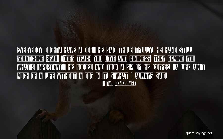 I Love You Dog Quotes By Dan Gemeinhart I Love You Dog Quotes By Dan Gemeinhart