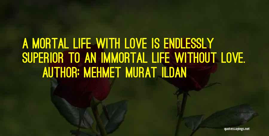 I Love You Endlessly Quotes By Mehmet Murat Ildan