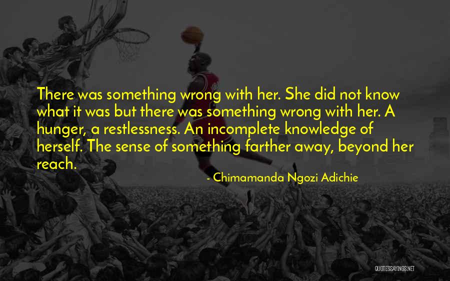 I Love You Even If It's Wrong Quotes By Chimamanda Ngozi Adichie I Love You Even If It's Wrong Quotes By Chimamanda Ngozi Adichie