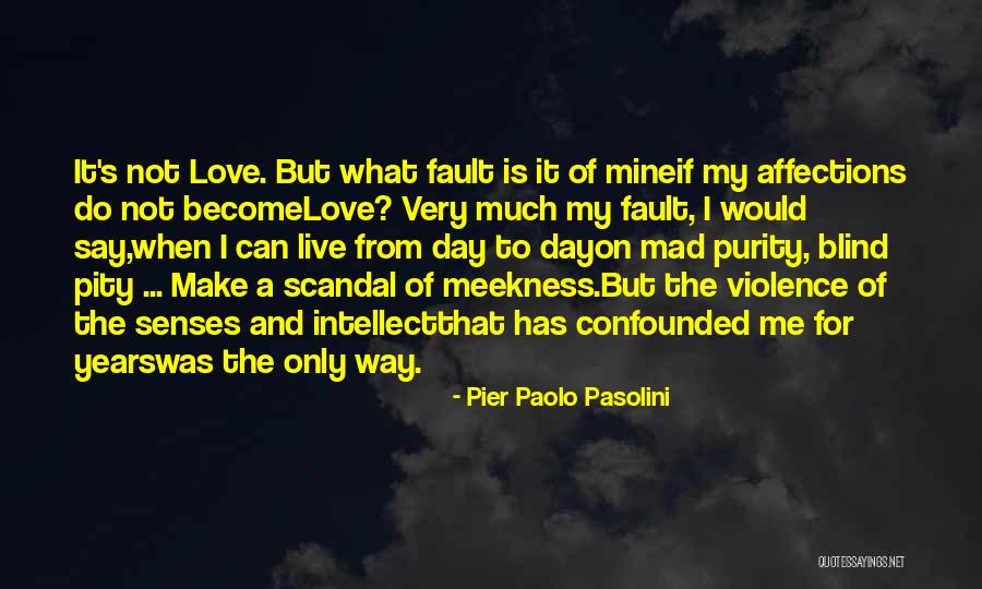 I Love You Even When I'm Mad Quotes By Pier Paolo Pasolini