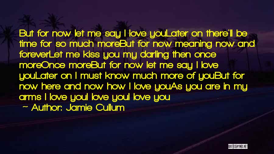 I Love You Meaning Quotes By Jamie Cullum