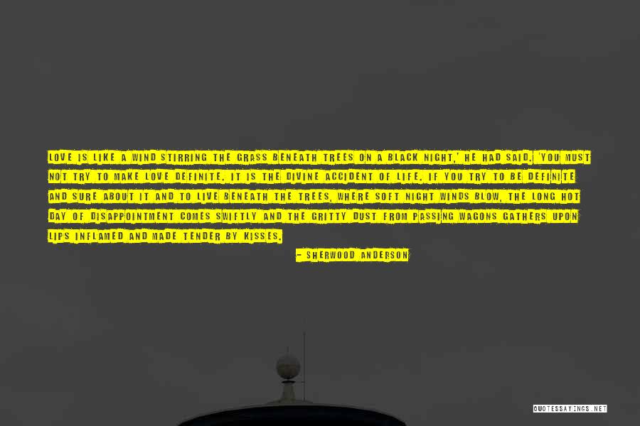 I Love You More With Each Passing Day Quotes By Sherwood Anderson