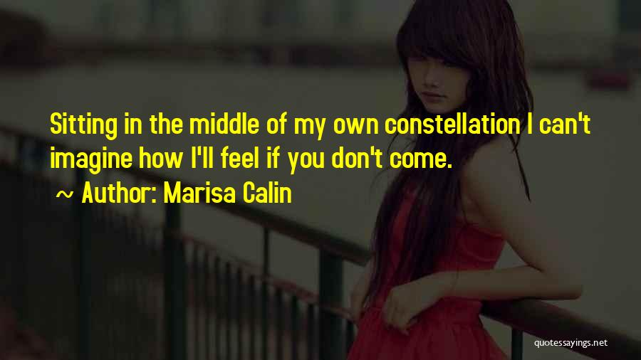 I Love You My Crush Quotes By Marisa Calin