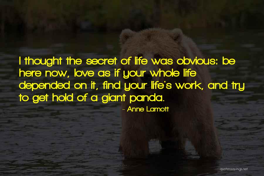 I Love You Panda Quotes By Anne Lamott I Love You Panda Quotes By Anne Lamott