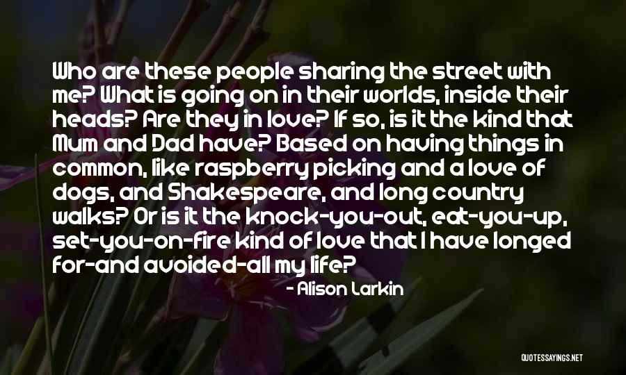 I Love You Shakespeare Quotes By Alison Larkin I Love You Shakespeare Quotes By Alison Larkin