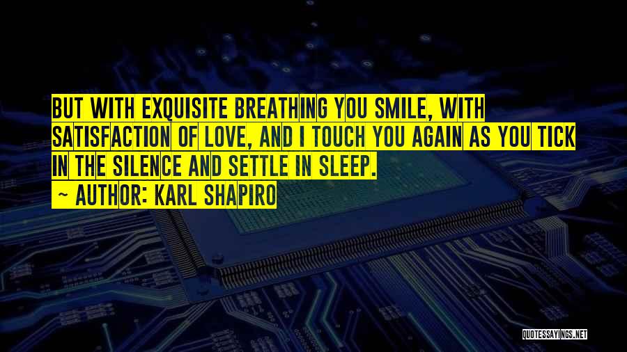 I Love You Sleep Quotes By Karl Shapiro