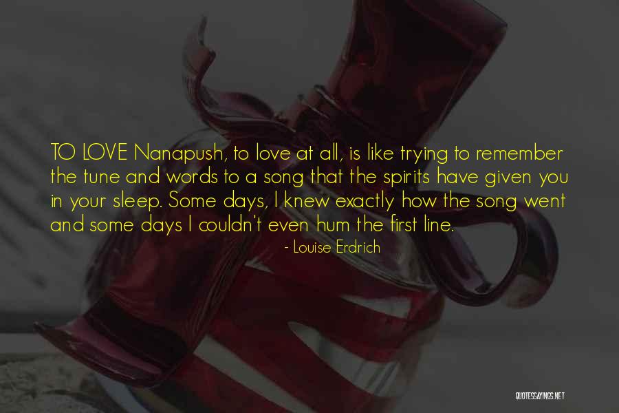I Love You Song Quotes By Louise Erdrich I Love You Song Quotes By Louise Erdrich