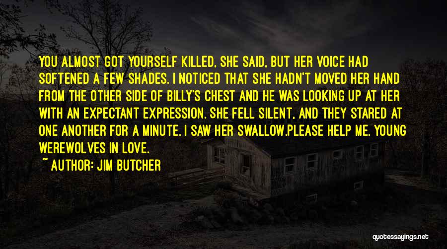 I Love You Voice Quotes By Jim Butcher