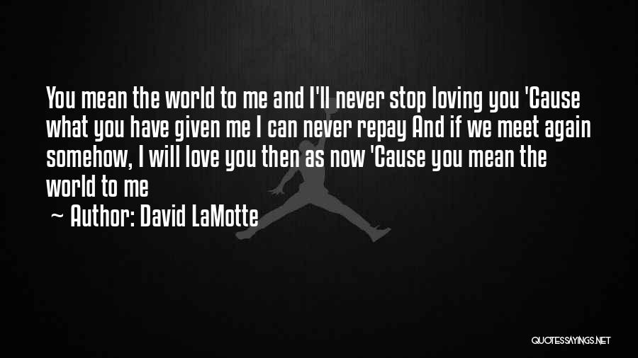 I Love You You Mean The World To Me Quotes By David LaMotte