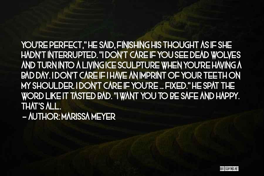 I Love You You're Perfect Quotes By Marissa Meyer