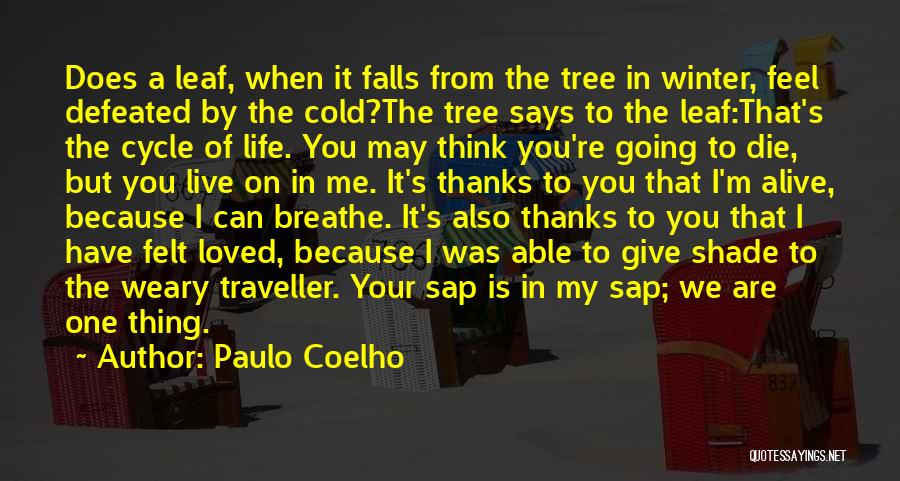 I Love Your Life Quotes By Paulo Coelho