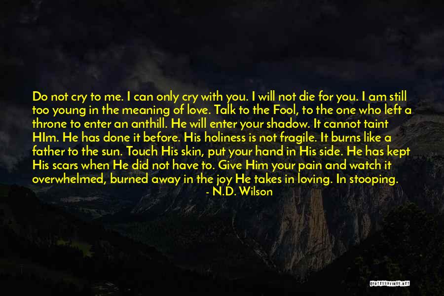 I Love Your Touch Quotes By N.D. Wilson I Love Your Touch Quotes By N.D. Wilson