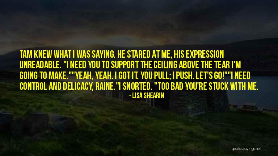 I M Above You Quotes By Lisa Shearin I M Above You Quotes By Lisa Shearin