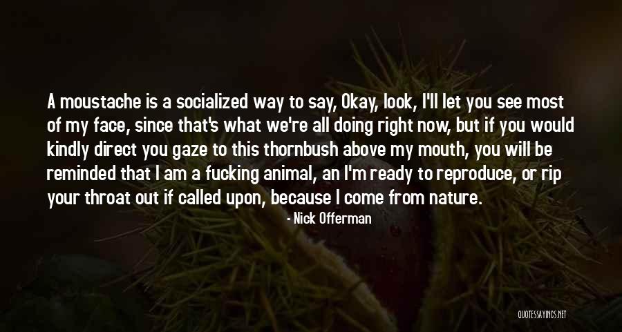 I M Above You Quotes By Nick Offerman I M Above You Quotes By Nick Offerman